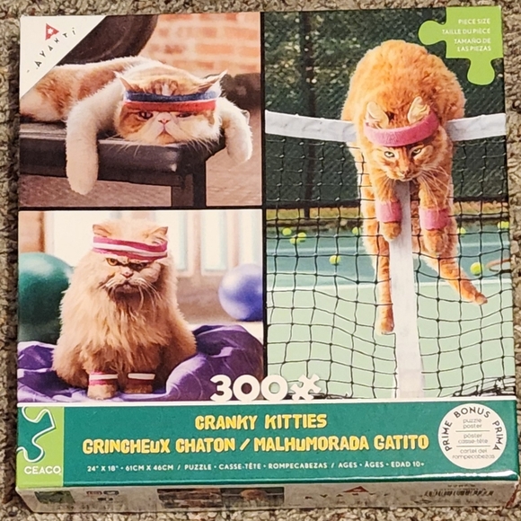 Ceaco Other - 300 pc cat puzzle
